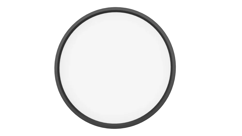 Aneta Lighting RING 15/300 Plafond Ø30 cm, 15 W