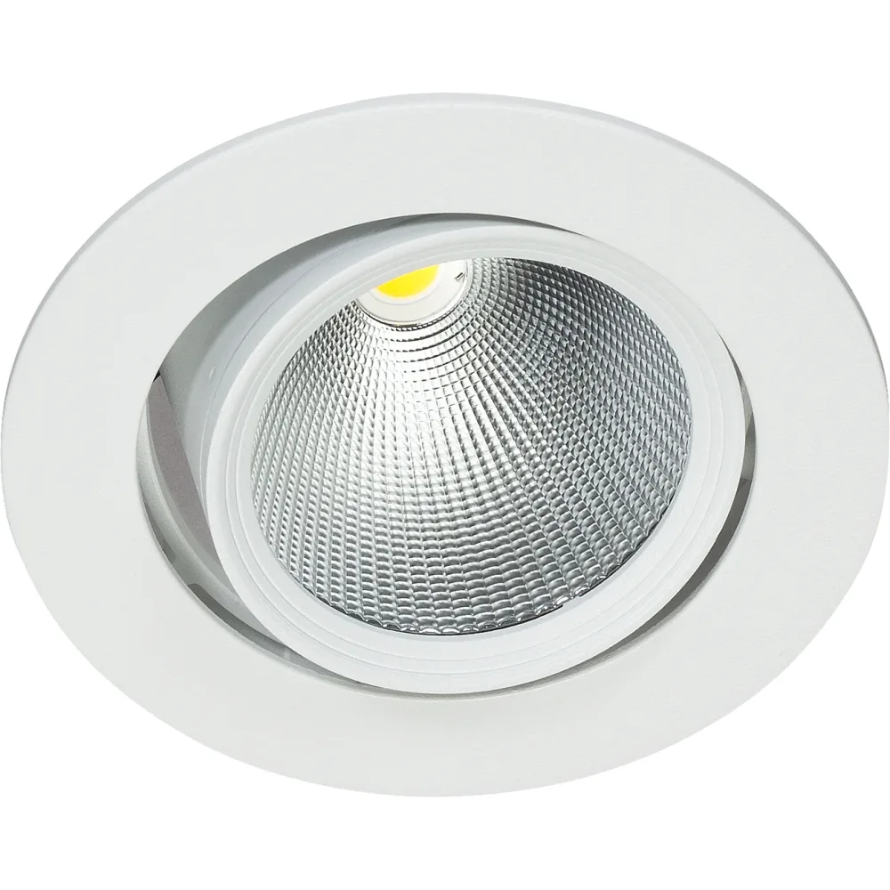Easyform Pride Downlight ställbar, 360°/ 20° 18W