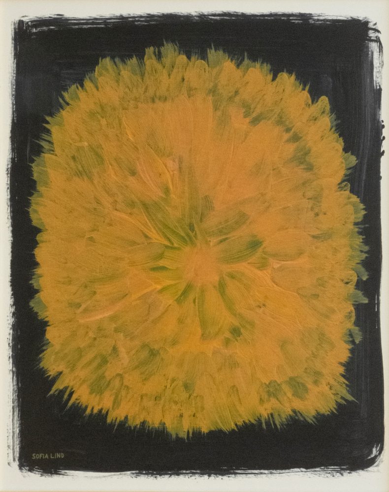 Dandelion poster 40x50 cm, Gul-svart