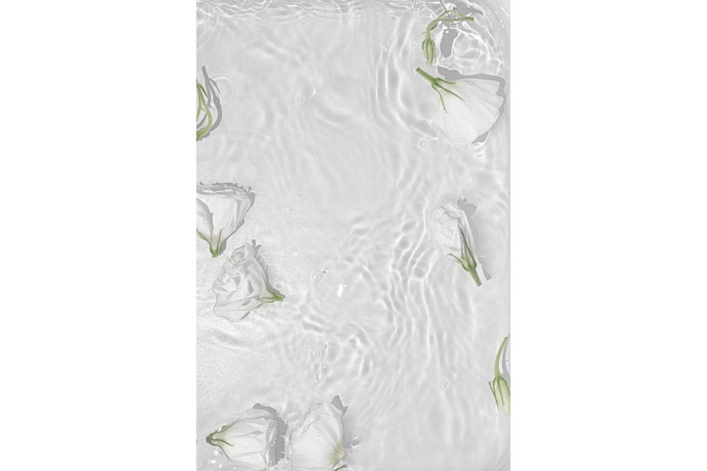 Poster White Roses 50x70 cm