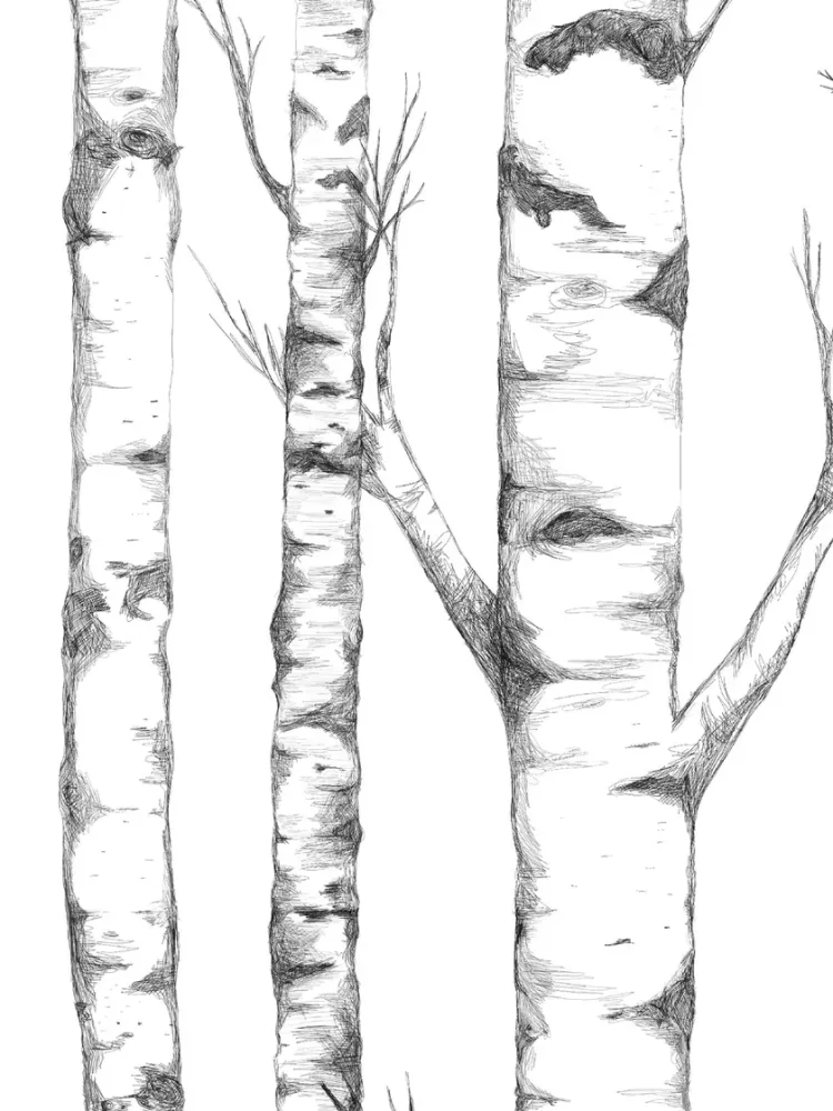 Boråstapeter - Tree