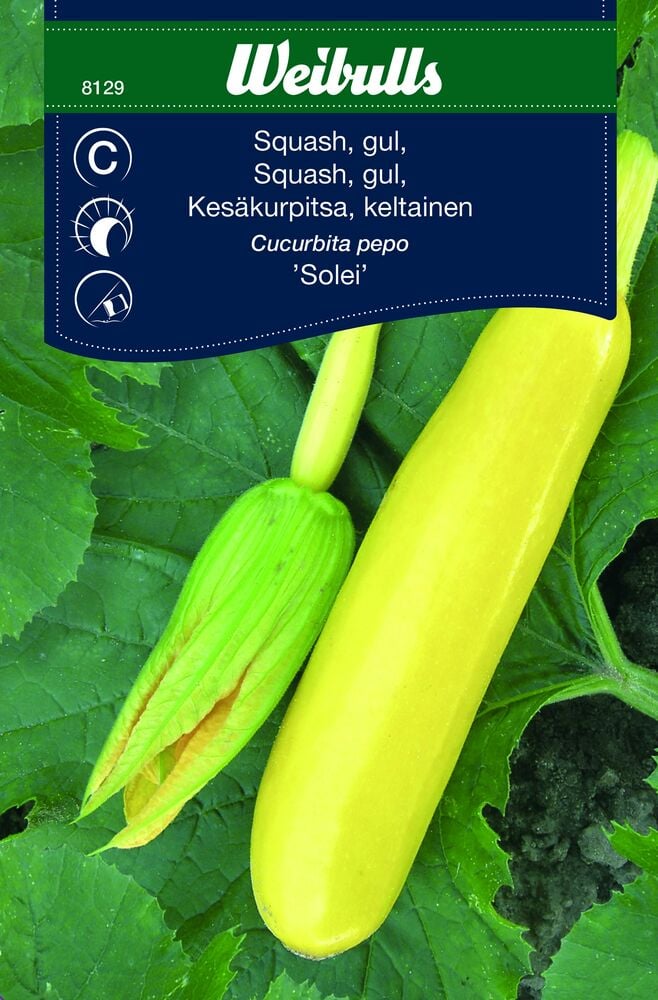 Fröpåse Weibulls Mångsidig grönsak