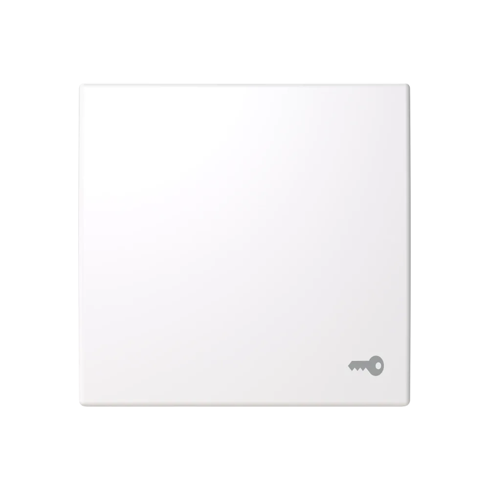 ABB Saga 2520 TR-916-510 Vippa med prägling nyckel