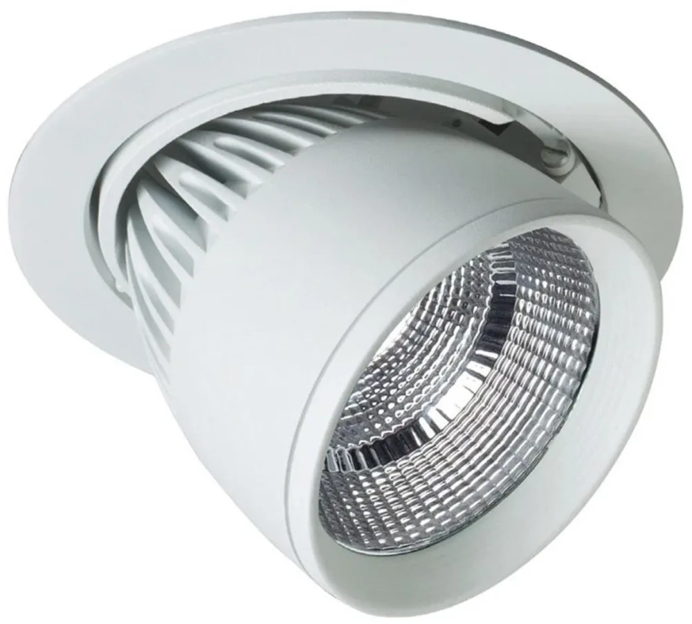 Easyform R-Flex Downlight 30W, vit 4000K