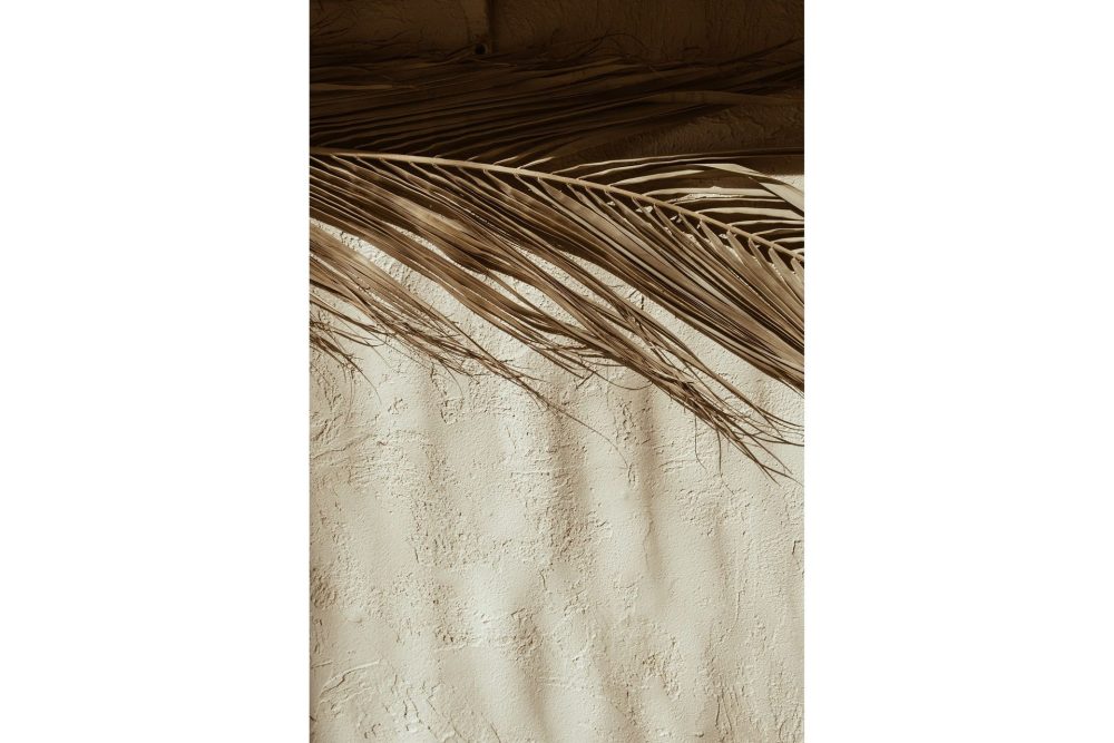 Poster Dessert 50x70 cm