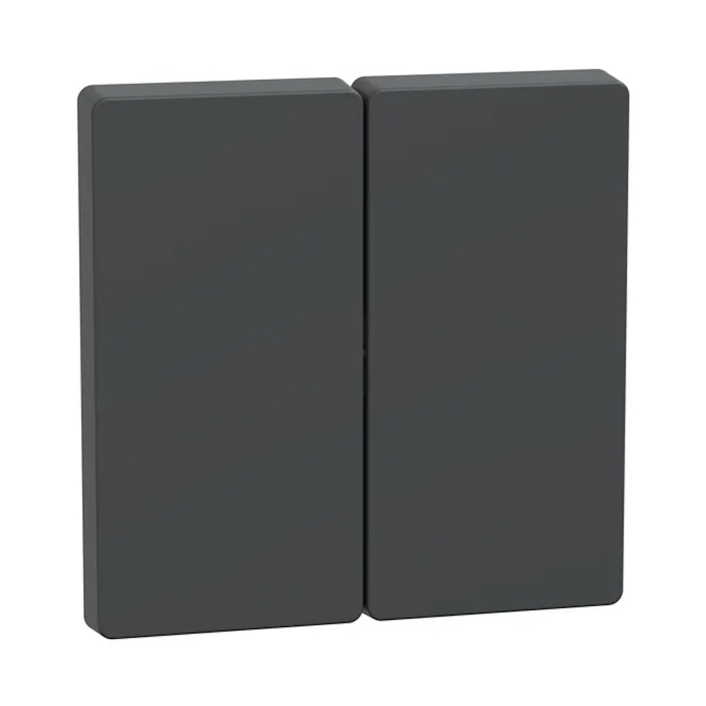 Rocker 2-Gäng Systemdesign IP20 Antracit Schneider Electric
