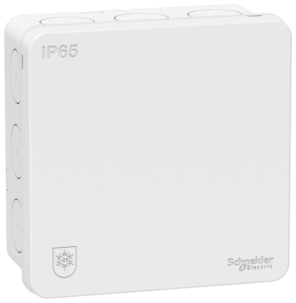 Schneider Electric IMT35334 Kopplingsdosa IP65, 2K Vit