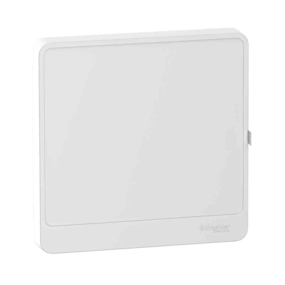 Dörr För Normkapsling 13 Moduler Resi9 CX IP40 Schneider Electric