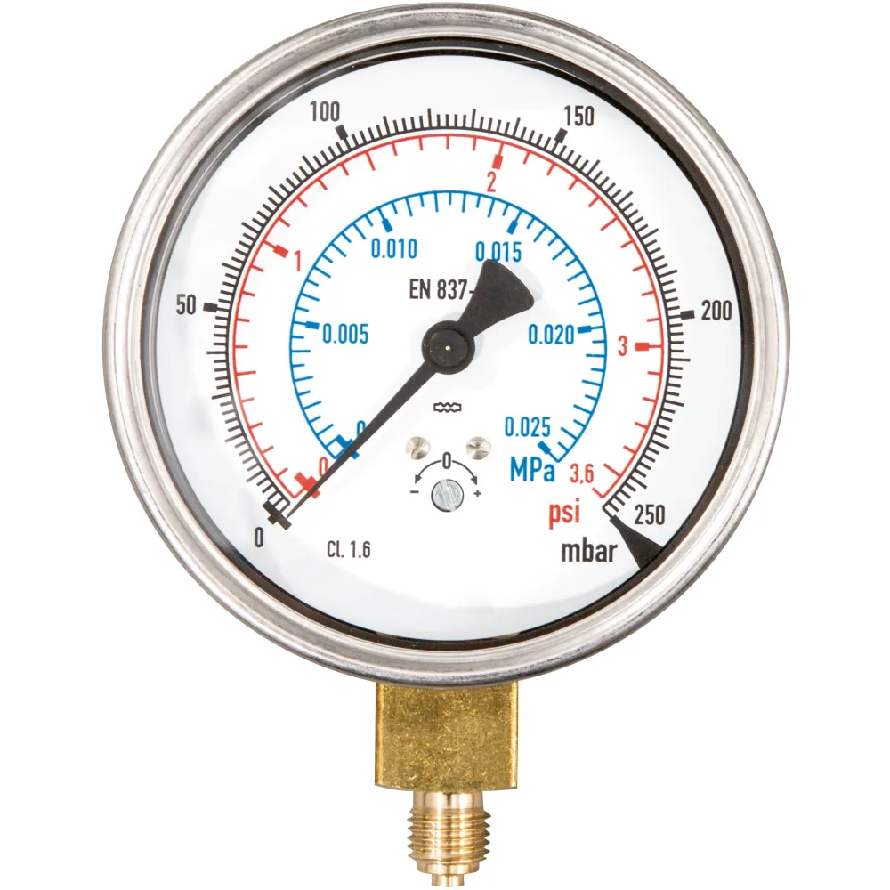 REMS 047069 Manometer för REMS Multi-Push, 250 mbar